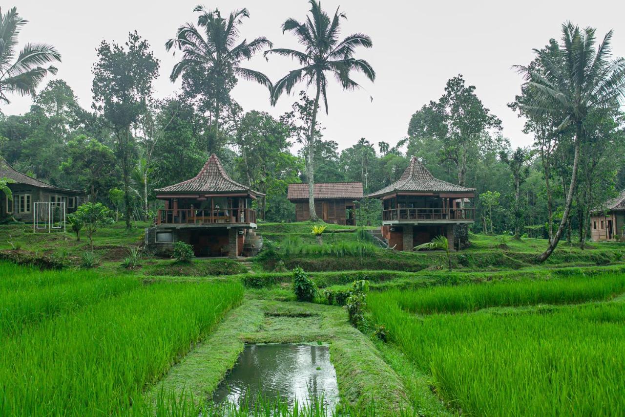 Tepi Sawah Lodge & Retreat Jatiluwih Exterior foto
